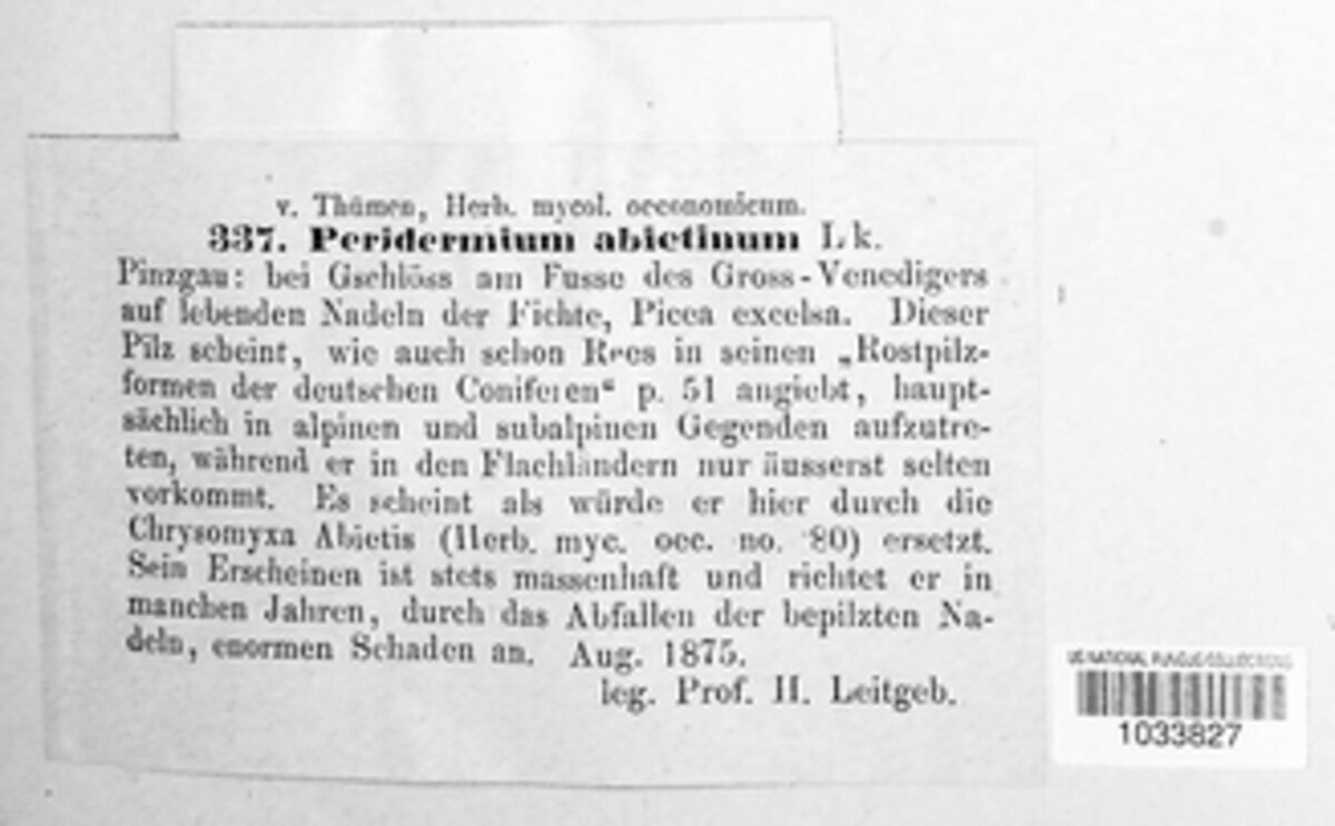 Peridermium abietinum image